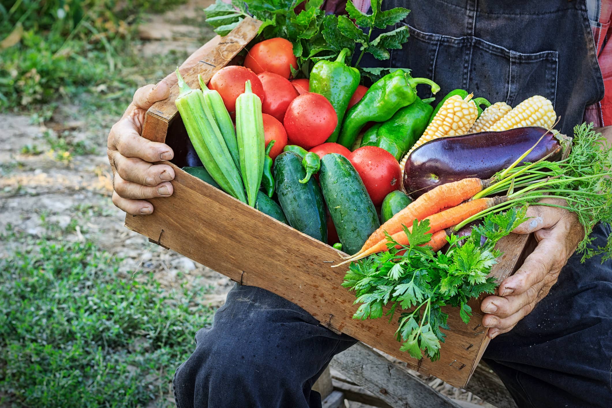 ingrédients qualité